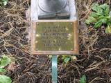 image of grave number 314522